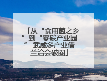 从“食用菌之乡”到“零碳产业园” 武威多产业借兰洽会破圈