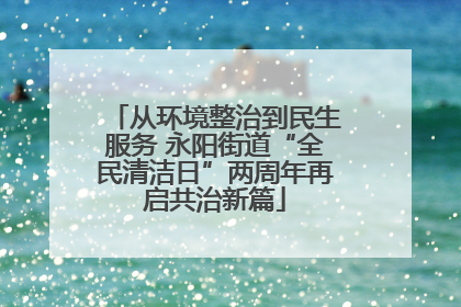 从环境整治到民生服务 永阳街道“全民清洁日”两周年再启共治新篇