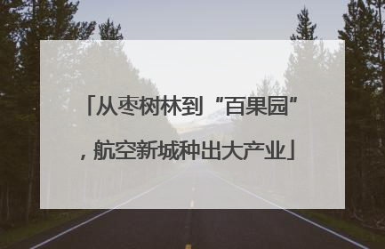 从枣树林到“百果园”，航空新城种出大产业