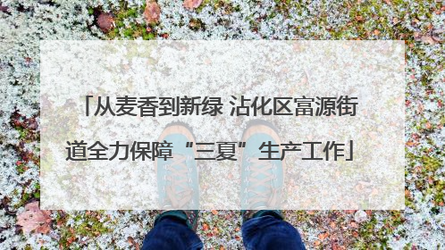 从麦香到新绿 沾化区富源街道全力保障“三夏”生产工作