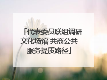 代表委员联组调研文化场馆 共商公共服务提质路径