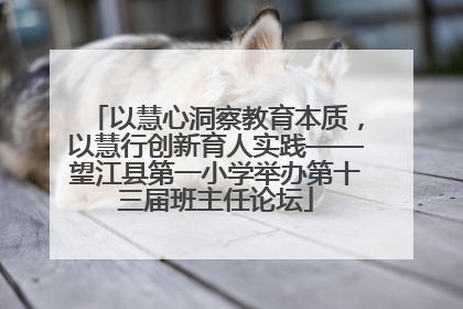 以慧心洞察教育本质，以慧行创新育人实践——望江县第一小学举办第十三届班主任论坛