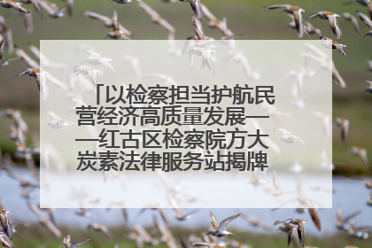 以检察担当护航民营经济高质量发展——红古区检察院方大炭素法律服务站揭牌彰显法治护航深度