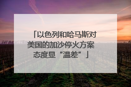 以色列和哈马斯对美国的加沙停火方案态度显“温差”
