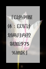 以色列媒体：以军计划两月内控制加沙75%地区