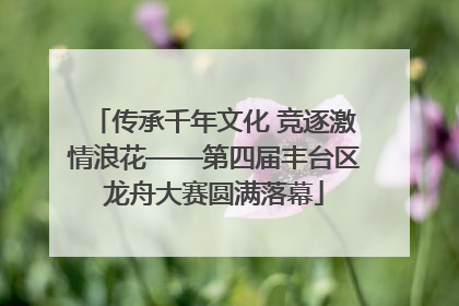 传承千年文化 竞逐激情浪花——第四届丰台区龙舟大赛圆满落幕