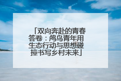 双向奔赴的青春答卷：鸬鸟青年用生态行动与思想碰撞书写乡村未来