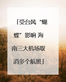 受台风“蝴蝶”影响 海南三大机场取消多个航班