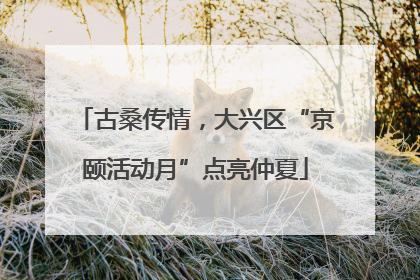 古桑传情，大兴区“京颐活动月”点亮仲夏