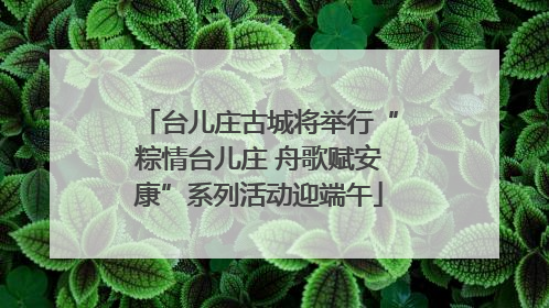 台儿庄古城将举行“粽情台儿庄 舟歌赋安康”系列活动迎端午