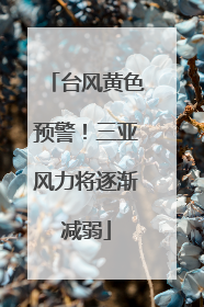 台风黄色预警！三亚风力将逐渐减弱