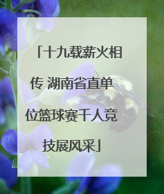 十九载薪火相传 湖南省直单位篮球赛千人竞技展风采