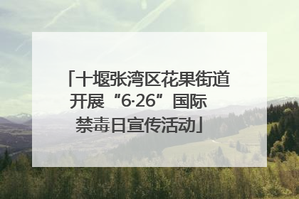 十堰张湾区花果街道开展“6·26”国际禁毒日宣传活动