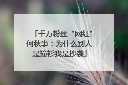 千万粉丝“网红”何秋亊：为什么别人是撞衫我是抄袭