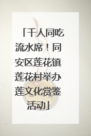 千人同吃流水席！同安区莲花镇莲花村举办莲文化赏鉴活动