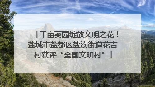 千亩葵园绽放文明之花！盐城市盐都区盐渎街道花吉村获评“全国文明村”