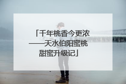千年桃香今更浓——天水伯阳蜜桃甜蜜升级记