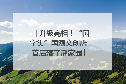 升级亮相！“国字头”国潮文创店首店落子潘家园