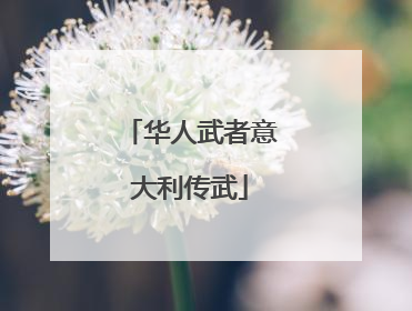 华人武者意大利传武