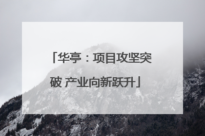 华亭：项目攻坚突破 产业向新跃升