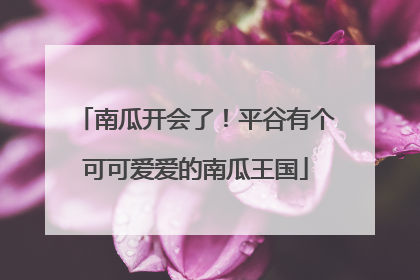 南瓜开会了！平谷有个可可爱爱的南瓜王国