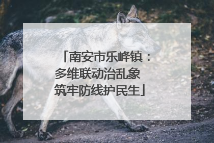 南安市乐峰镇：多维联动治乱象 筑牢防线护民生