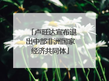 卢旺达宣布退出中部非洲国家经济共同体