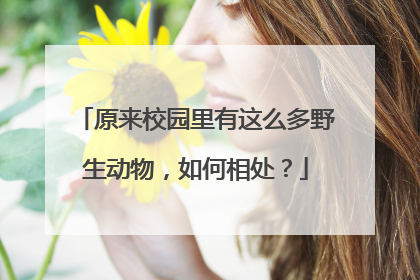原来校园里有这么多野生动物，如何相处？
