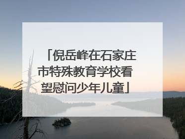 倪岳峰在石家庄市特殊教育学校看望慰问少年儿童