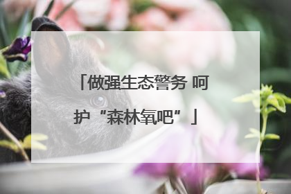 做强生态警务 呵护“森林氧吧”