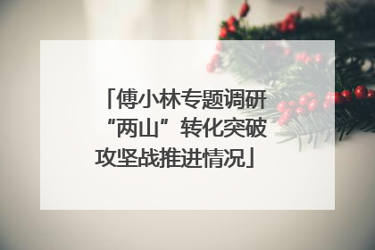 傅小林专题调研“两山”转化突破攻坚战推进情况