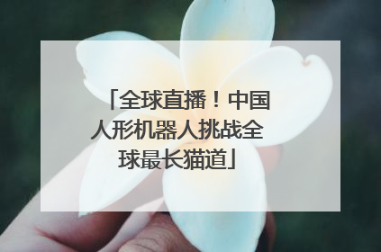 全球直播！中国人形机器人挑战全球最长猫道