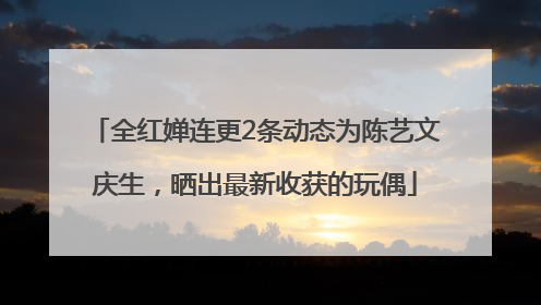 全红婵连更2条动态为陈艺文庆生，晒出最新收获的玩偶