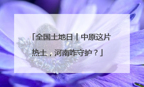 全国土地日丨中原这片热土，河南咋守护？