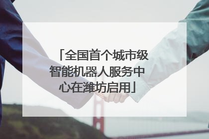 全国首个城市级智能机器人服务中心在潍坊启用