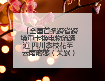 全国首条跨省跨境重卡换电物流通道 四川攀枝花至云南磨憨（关累）换电干线启动