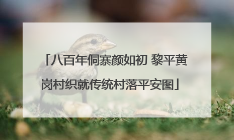 八百年侗寨颜如初 黎平黄岗村织就传统村落平安图