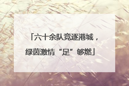 六十余队竞逐港城，绿茵激情“足”够燃