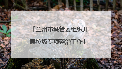 兰州市城管委组织开展垃圾专项整治工作