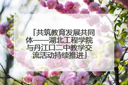 共筑教育发展共同体——湖北工程学院与丹江口二中教学交流活动持续推进