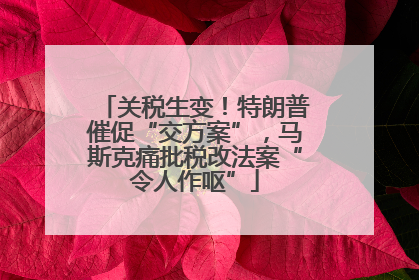 关税生变！特朗普催促“交方案”，马斯克痛批税改法案“令人作呕”