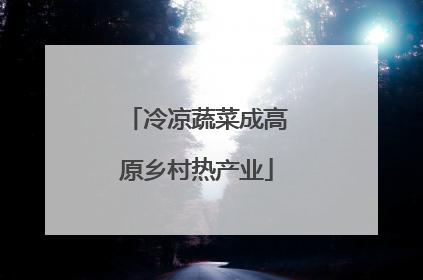 冷凉蔬菜成高原乡村热产业