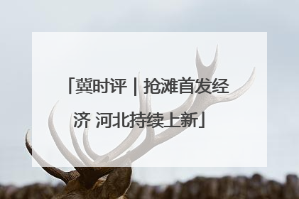 冀时评｜抢滩首发经济 河北持续上新