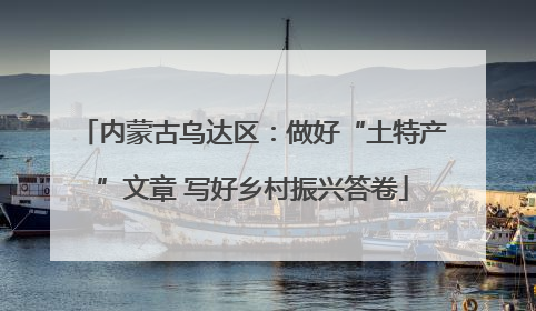 内蒙古乌达区：做好“土特产”文章 写好乡村振兴答卷