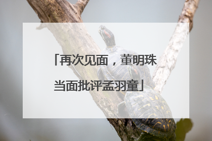 再次见面，董明珠当面批评孟羽童