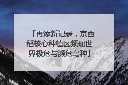 再添新记录，京西稻核心种植区频现世界极危与濒危鸟种