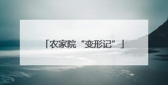 农家院“变形记”