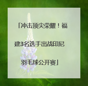 冲击顶尖荣耀！福建3名选手出战印尼羽毛球公开赛