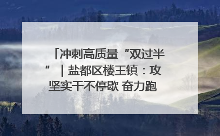 冲刺高质量“双过半”｜盐都区楼王镇：攻坚实干不停歇 奋力跑赢“上半场”