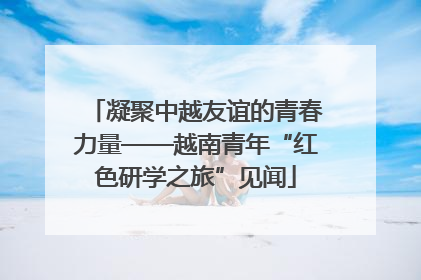 凝聚中越友谊的青春力量——越南青年“红色研学之旅”见闻